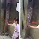 Noida Video Girl bitten by dog while going in lift in Noida society