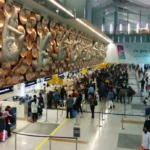 Bomb threat on Delhi to Dubai flight, commotion at IGI airport after email arrives