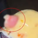 Human finger found in Ghaziabad ice cream, uproar over finding nail and flesh pieces